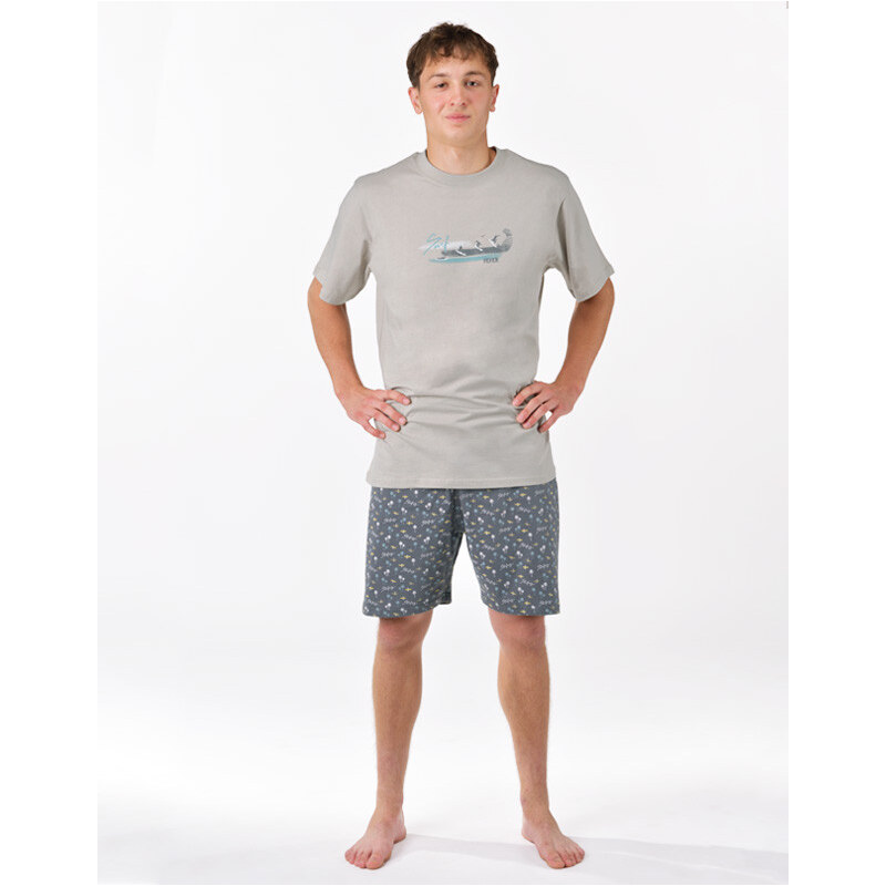 Pánske pyžamo Gino viacfarebné (79190-LxGDxG) 65968881