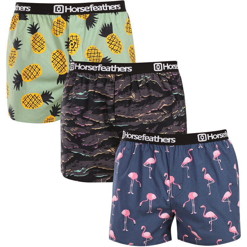 3PACK pánske trenky Horsefeathers Frazier Bundle 9 (AM096L) 65626239