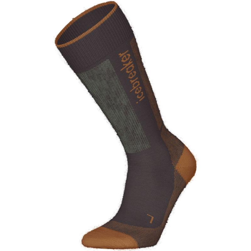 Pánske funkčné podkolienky Icebreaker Merino SKI+ Light 66225724