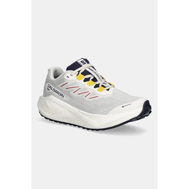 Tréningové topánky Salomon AERO BLAZE 3 GRVL 66021869