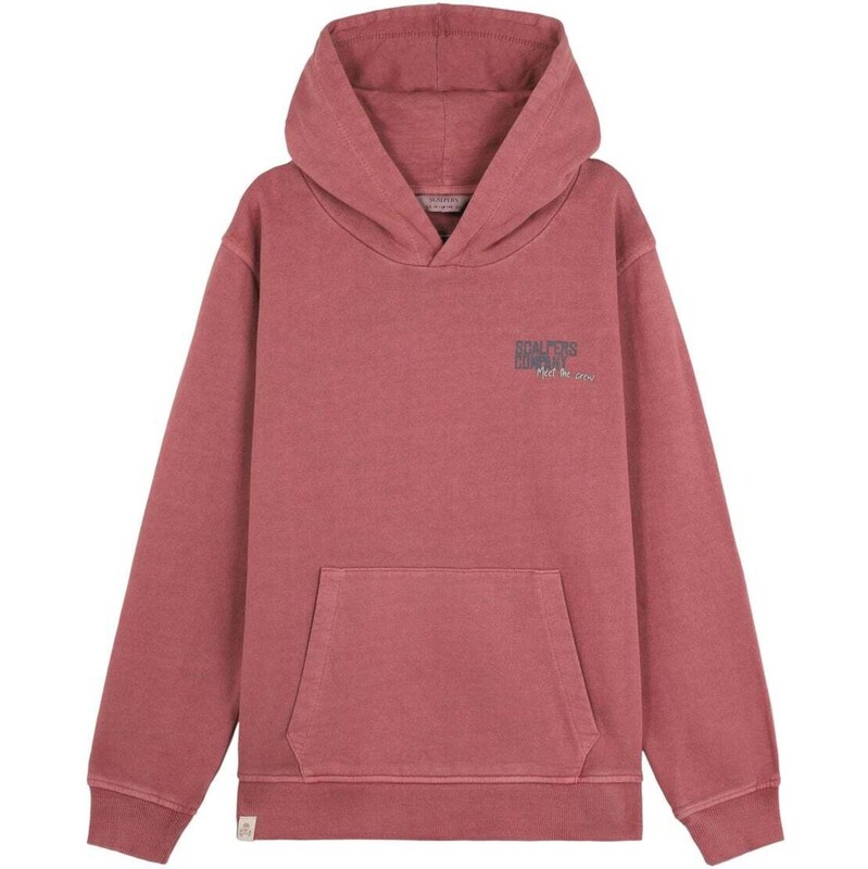 Scalpers Mikina Typeskull sivá / tmavosivá / burgundská 66026384