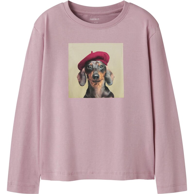 NAME IT Tričko NKFVOTEA pastelovo zelená / svetlofialová / burgundská 66026918