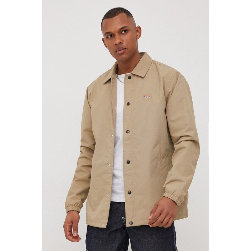 Bunda Dickies 48502875