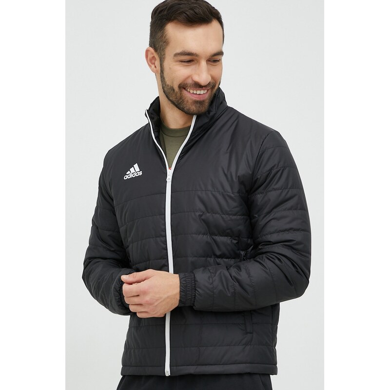 Bunda adidas Performance Entrada 22 36858311