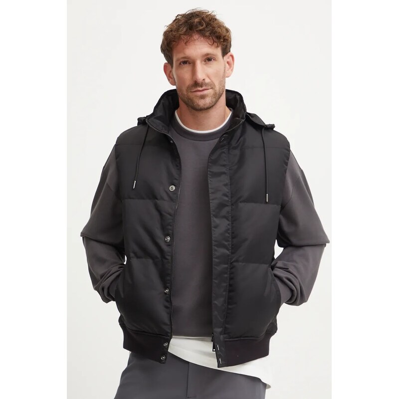 Vesta Theory 57054918