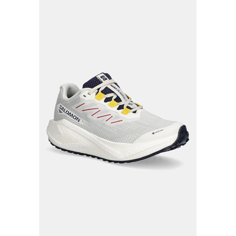 Tréningové topánky Salomon AERO BLAZE 3 GRVL 66021869