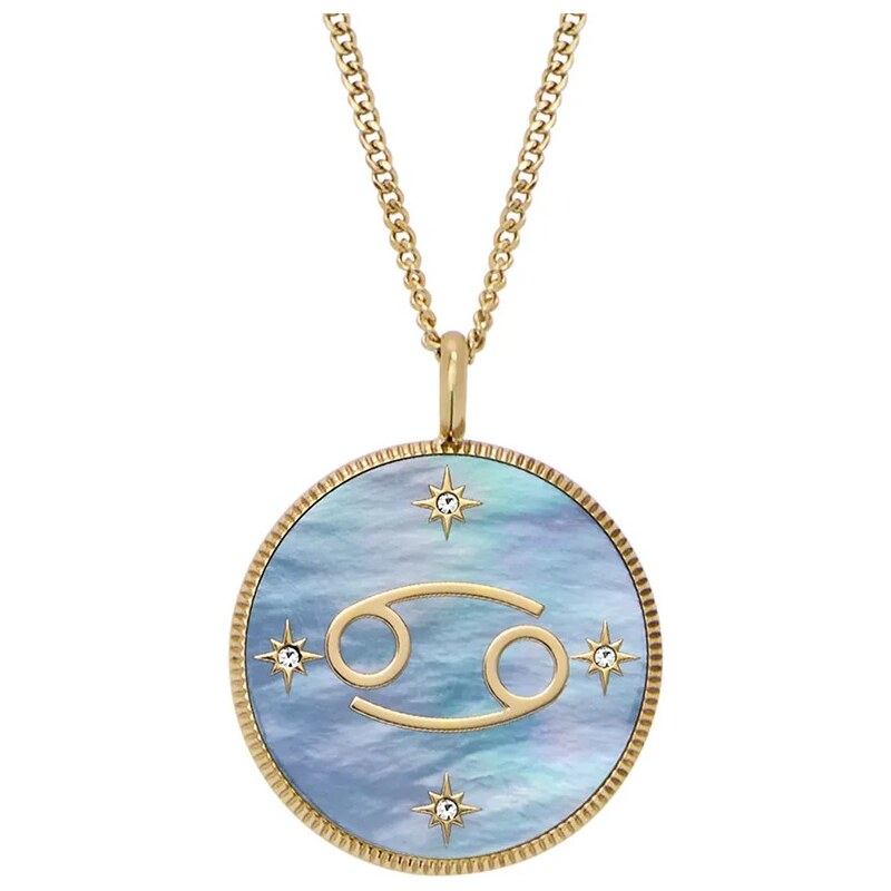 Náhrdelník Fossil JEWELRY 64324823