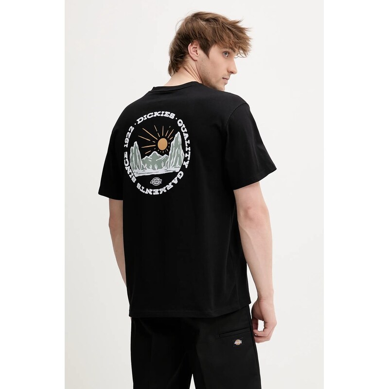 Bavlnené tričko Dickies 63379426