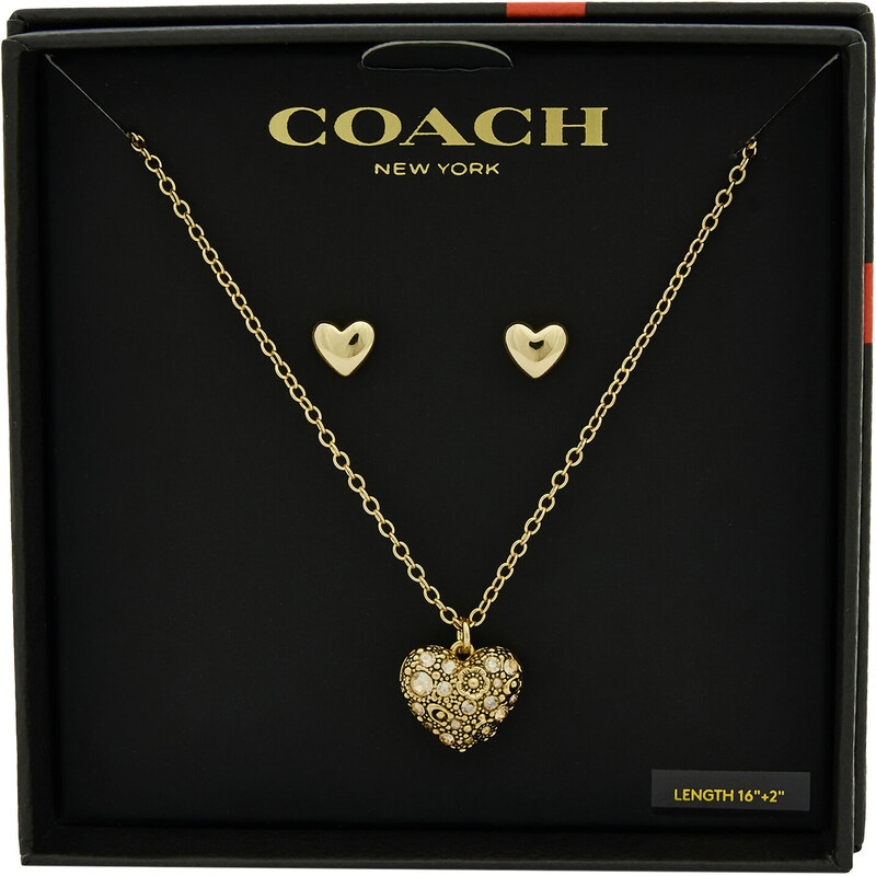 Set náhrdelník a náušnice Coach 66049421
