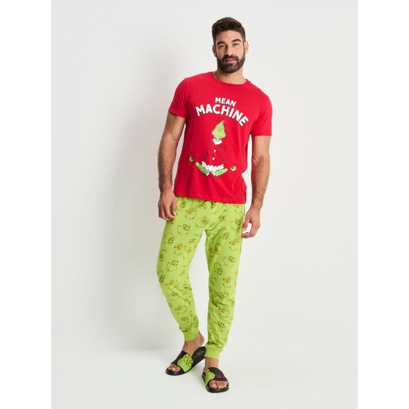 Sinsay - Dvojdielne pyžamo Grinch - viacfarebná 66067738