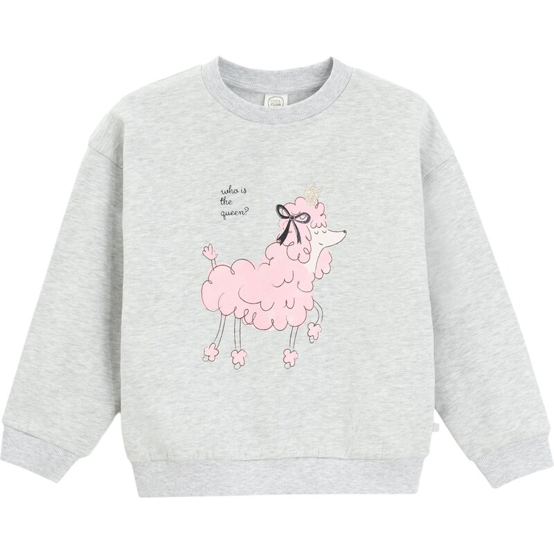 Cool Club Mikina sivá 66076163