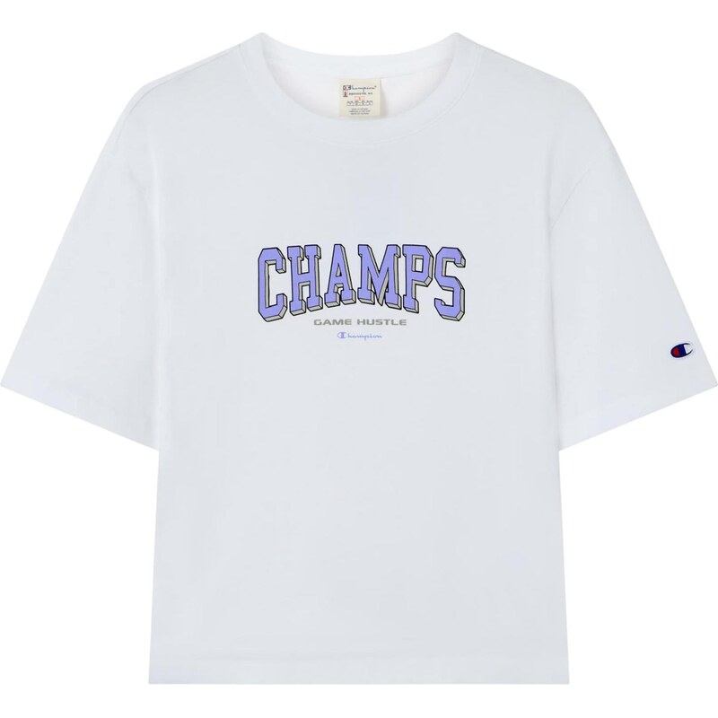 Champion Authentic Athletic Apparel Tričko sivá / fialová / čierna / 66105354