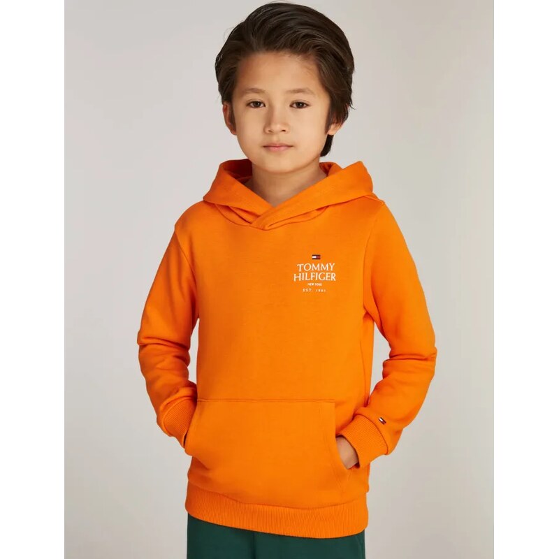 Tommy Hilfiger Mikina | Regular Fit 57937935