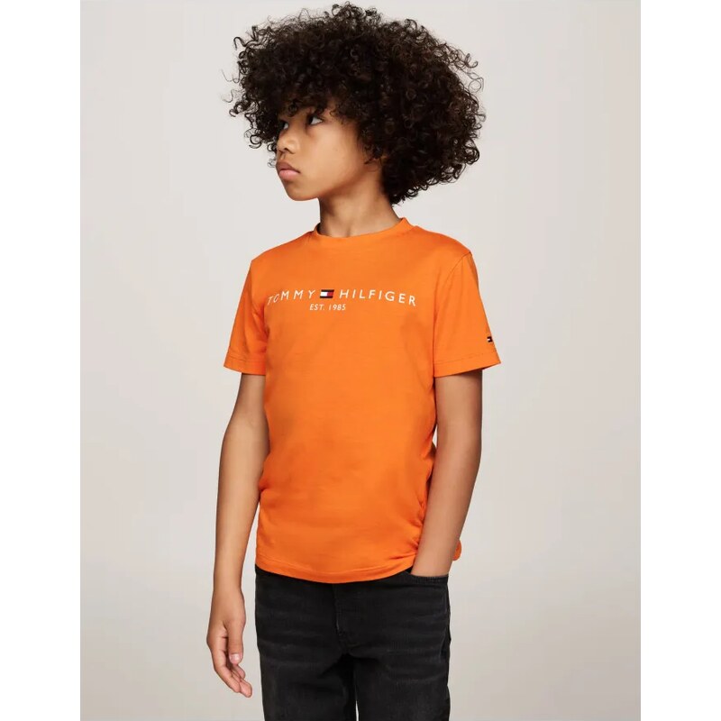 Tommy Hilfiger Tričko | Regular Fit 57937956