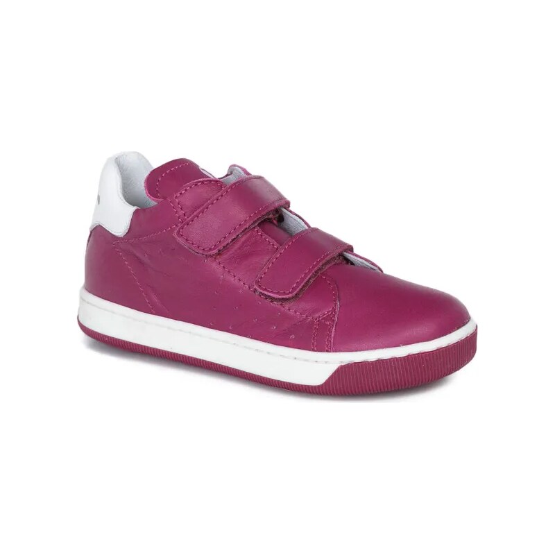 FALCOTTO Tenisky Smith 17726942