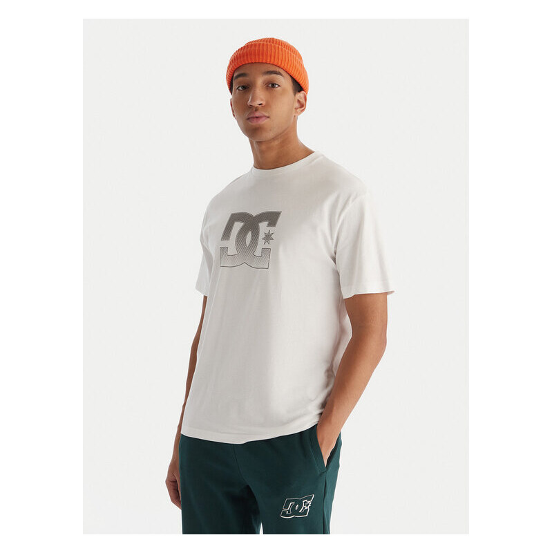 Tričko DC Shoes 66133927