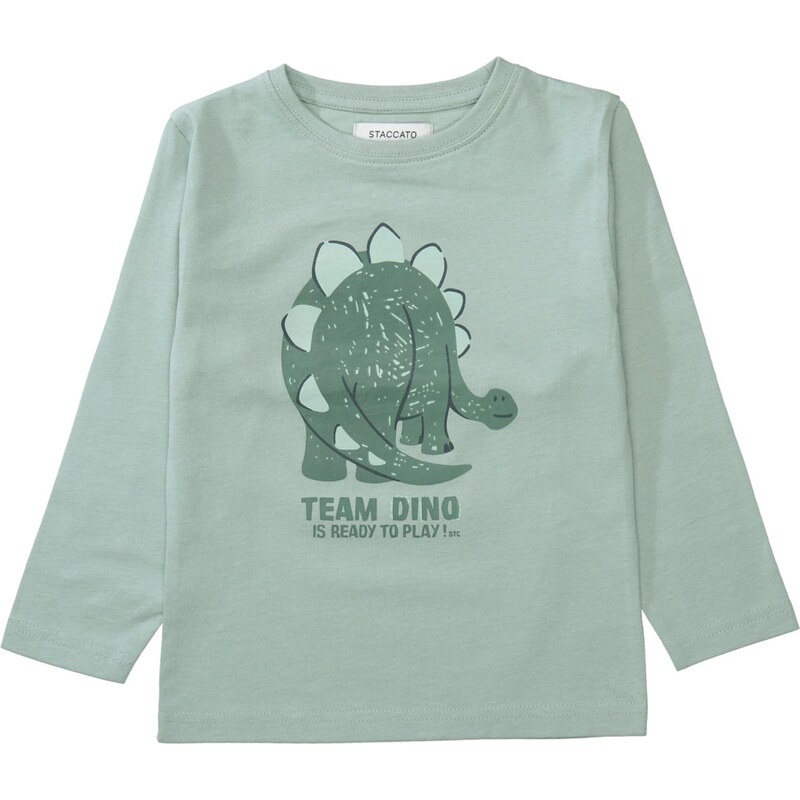 STACCATO Tričko zelená / pastelovo zelená 66200392