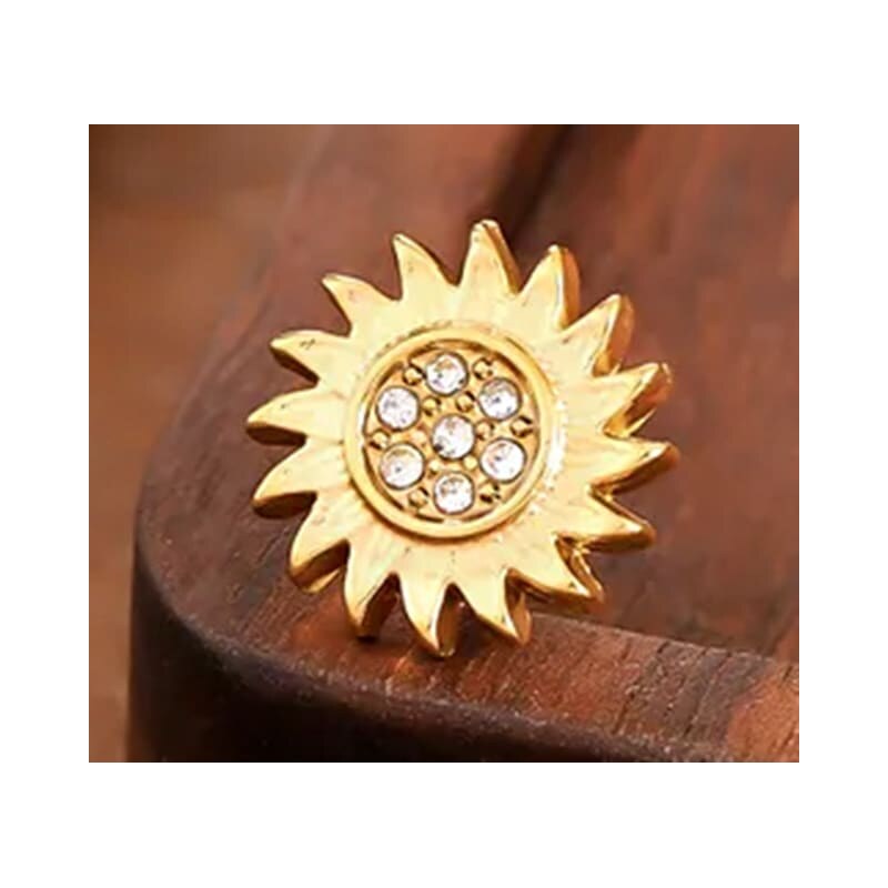 Oceľová náušnica Glare 461 66211259