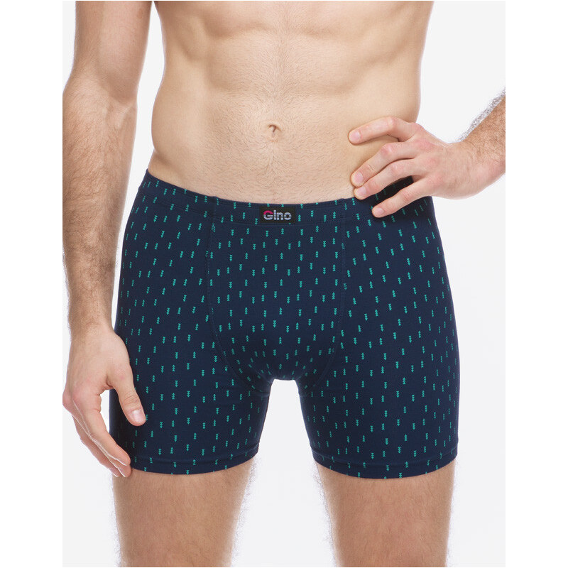 Pánske boxerky Gino viacfarebné (74181-DCMMMZ) 66228283