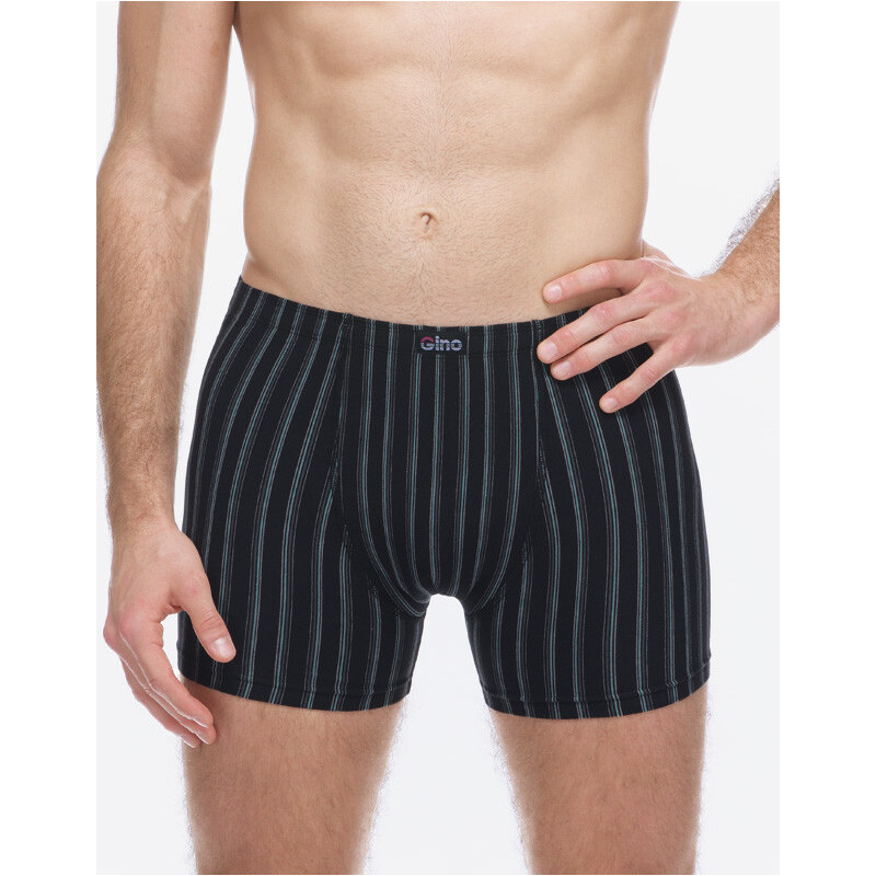 Pánske boxerky Gino viacfarebné (74178-MxCDMZ) 66228287