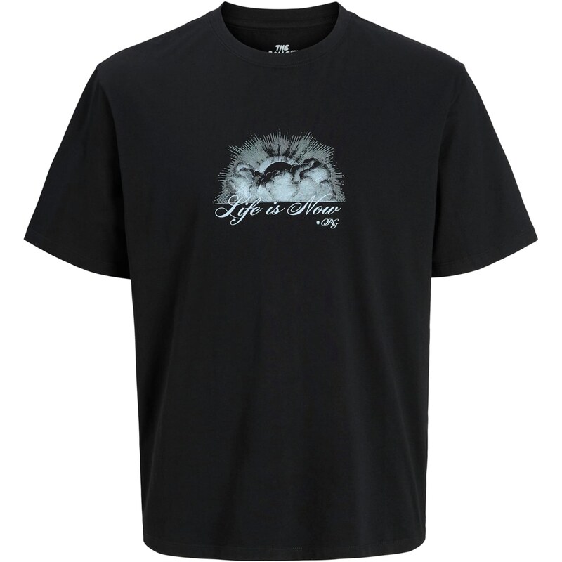 JACK & JONES Tričko JORWinged Gallery svetlosivá / čierna / biela 66257545