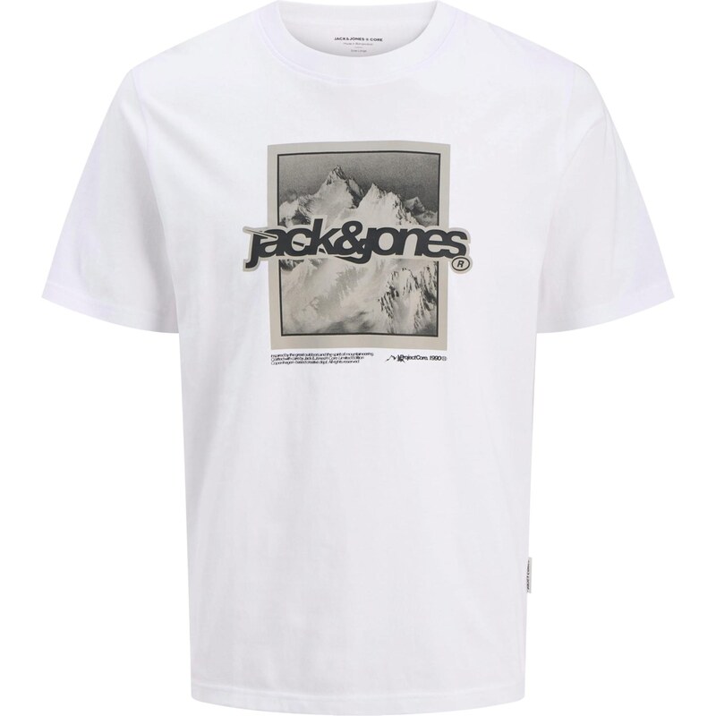 JACK & JONES Tričko JCOFLARE tmavošedá / čierna / biela 66257843