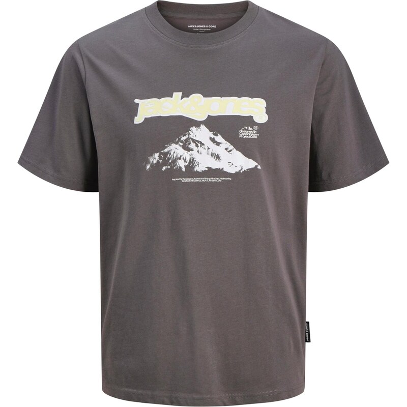 JACK & JONES Tričko JCOFLARE svetložltá / tmavosivá / biela 66257850
