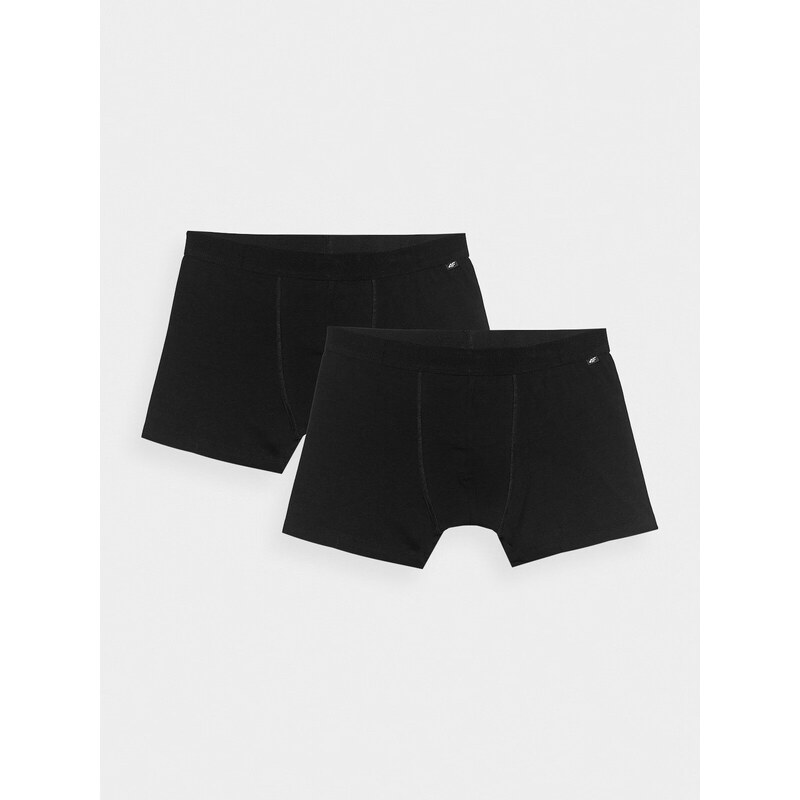 Mens Boxer Shorts 4F (2pack) 66259962