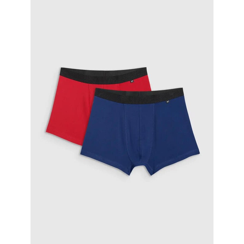 Mens Boxer Shorts 4F (2pack) 66259967