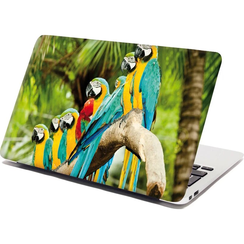 Sablio Samolepka na notebook Papagáje na konári 65102079