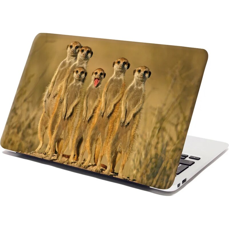 Sablio Samolepka na notebook Surikaty 65098600