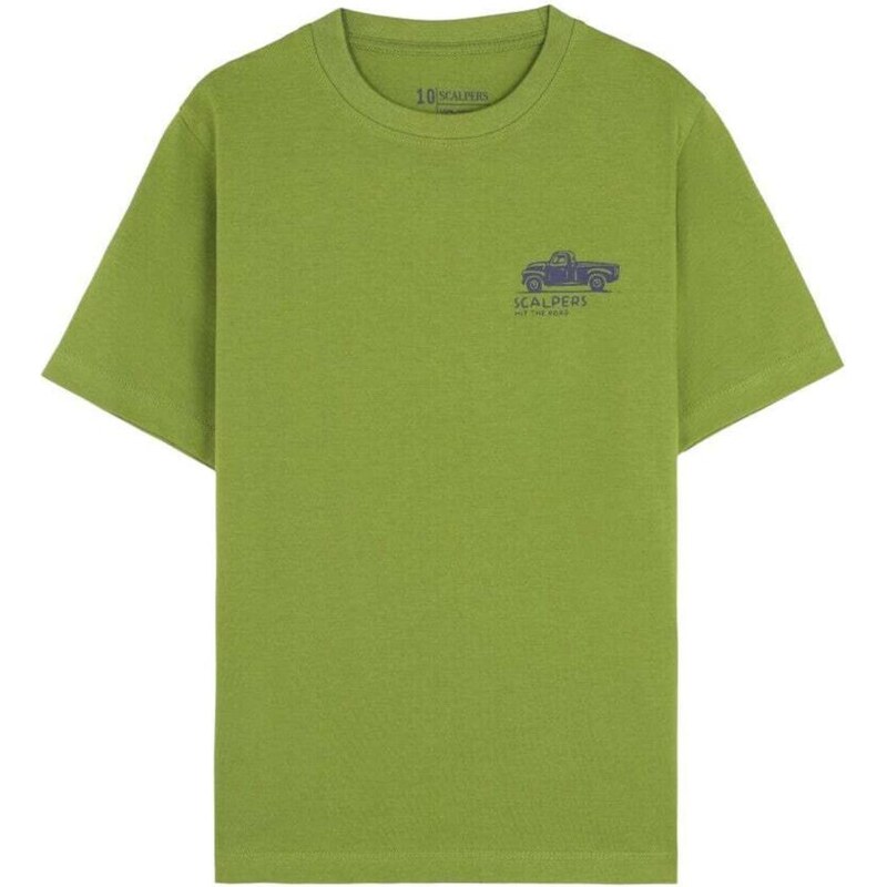 Scalpers Tričko Motel sivá / zelená 66330618