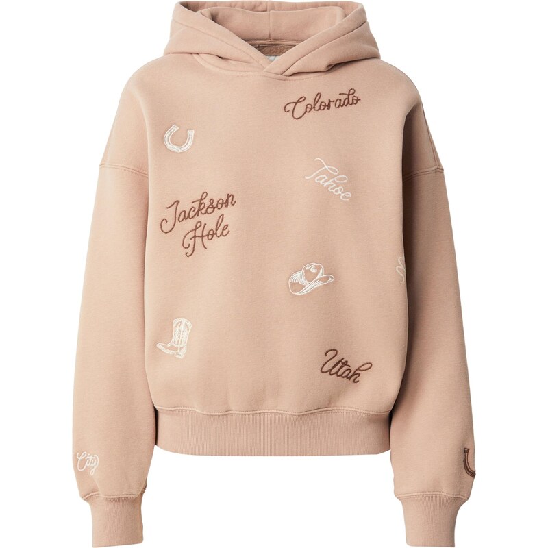 Abercrombie & Fitch Mikina hnedá / kapučíno / biela 66330976