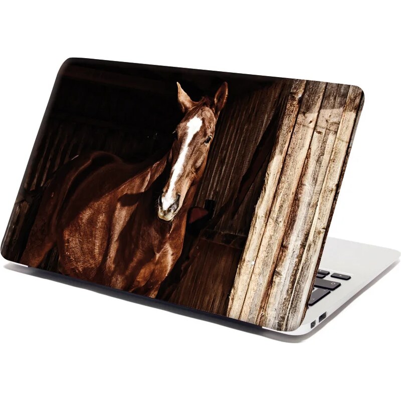 Sablio Samolepka na notebook Kôň v stajni 65101947