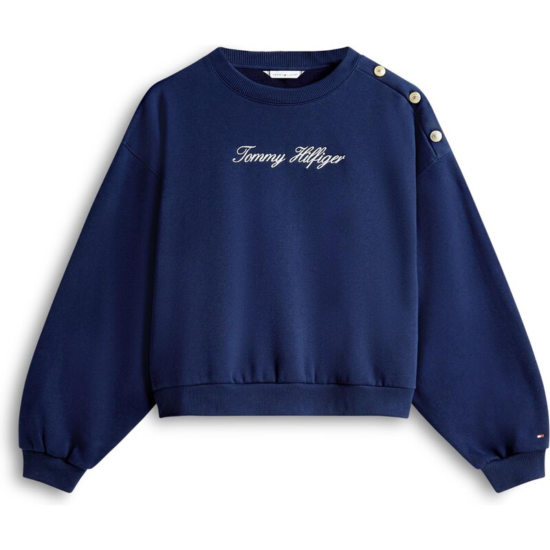 TOMMY HILFIGER Mikina modrá / biela 66383150