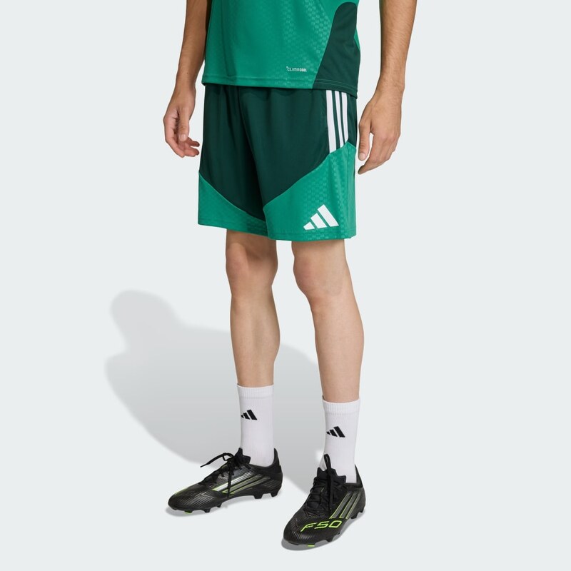 Adidas Šortky Alžírsko 26 Training 66345162