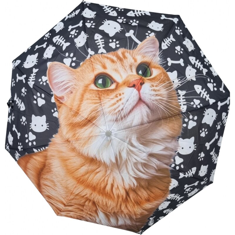 Katrins Fashion Dáždnik mačky 66455226