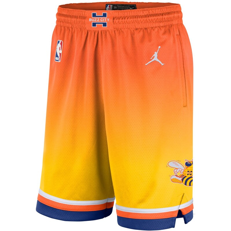Nike Charlotte Hornets Dri-FIT Swingman Shorts - Pánske - Kraťasy Nike 66471142