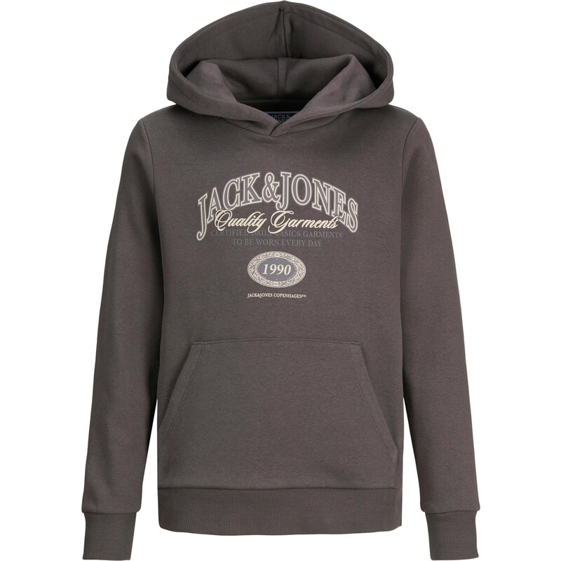 Jack & Jones Junior Mikina JJARI nebielená / sivá / tmavošedá 66480711