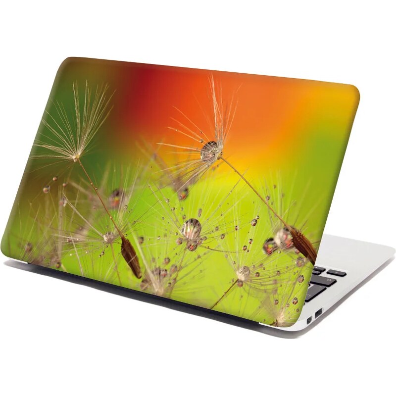 Sablio Samolepka na notebook Odkvitnuté púpavy 65101932