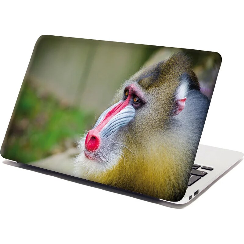 Sablio Samolepka na notebook Mandril 65101892