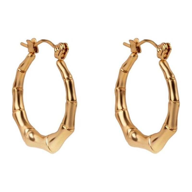 Emily Westwood Pozlátené kruhové náušnice Grace Cascade EWE250198G 66596300