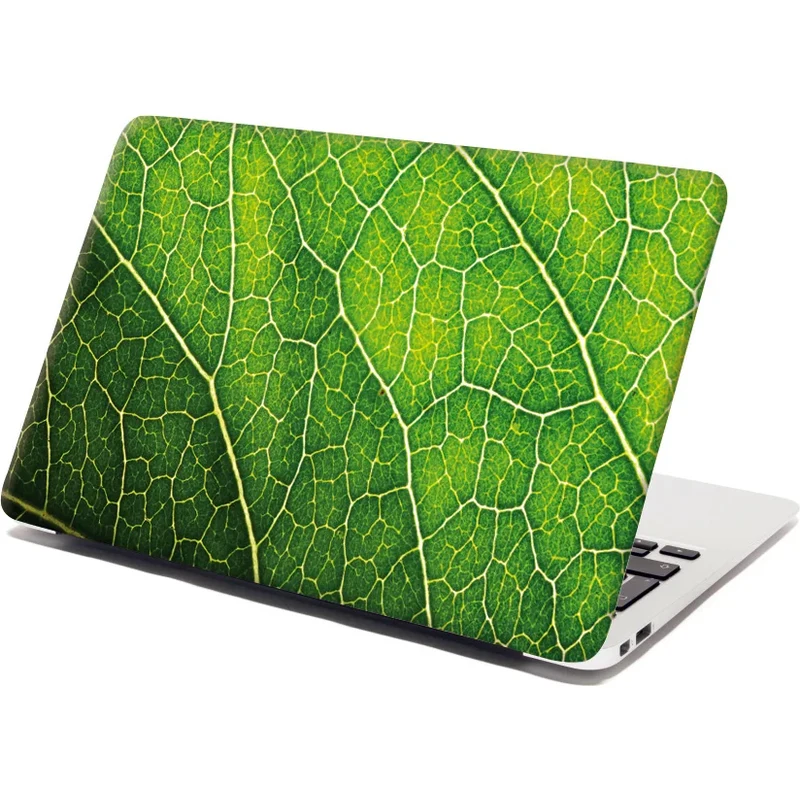 Sablio Samolepka na notebook Detail listu 65102016