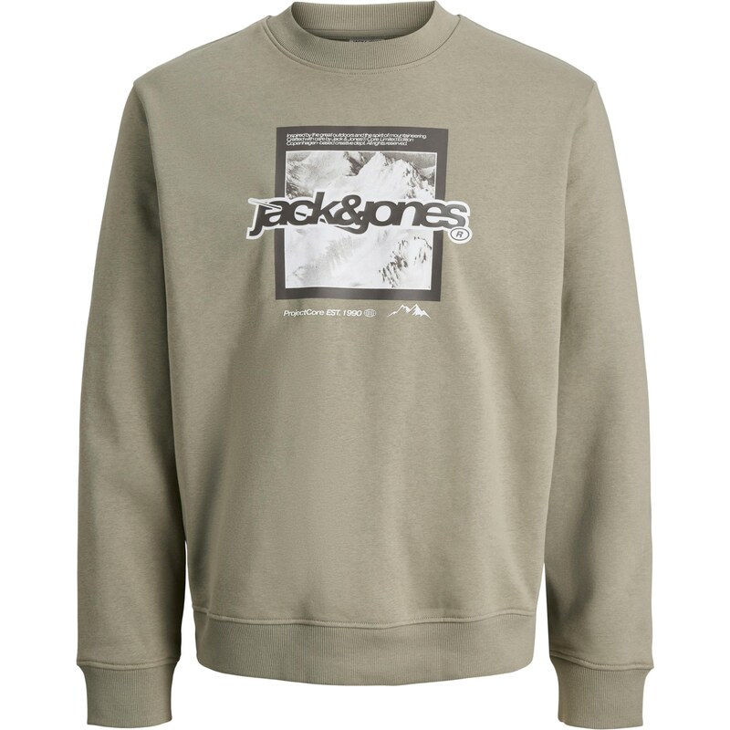 Jack & Jones Junior Mikina JCOFLARE sivá / biela 66537435