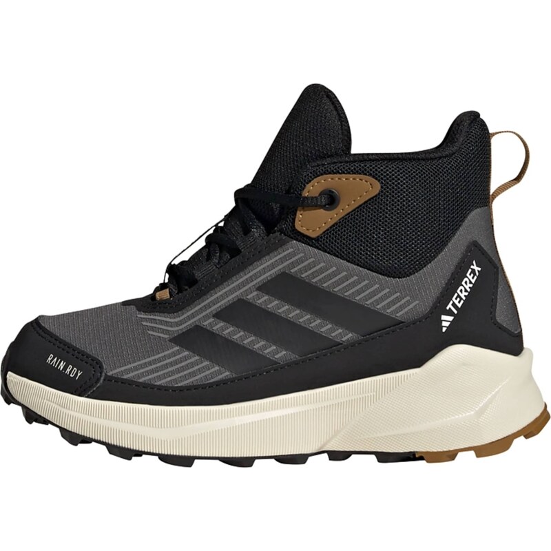 ADIDAS TERREX Nízke čižmy Trailmaker 2 antracitová / čadičová / biela 66570224
