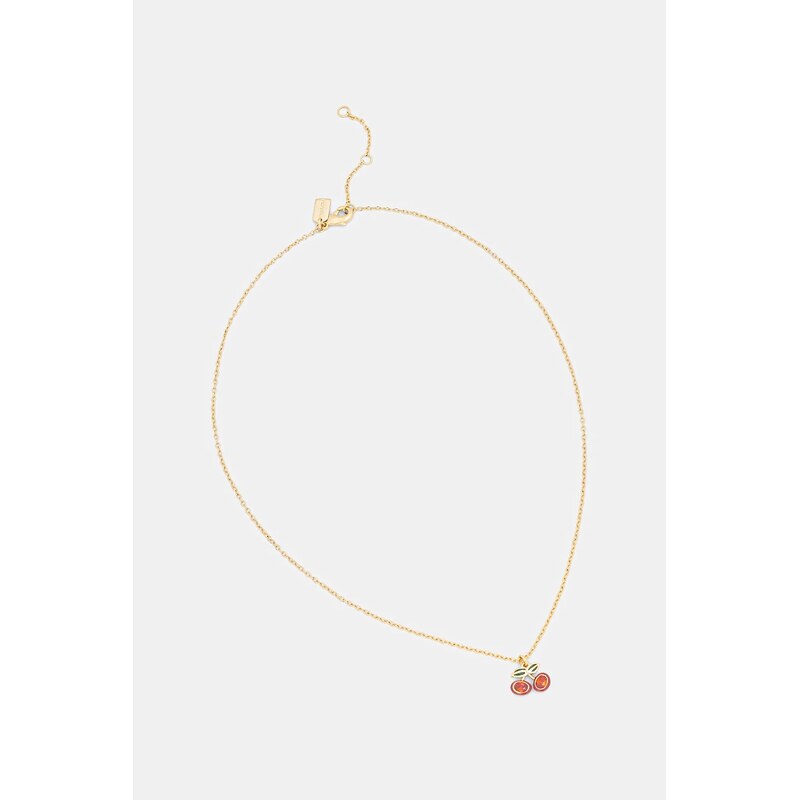 Náhrdelník Coach 66509292