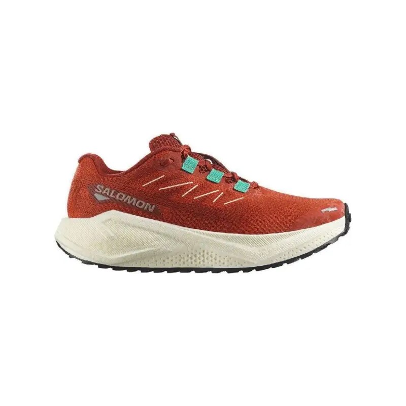 E-shop Salomon Aero Blaze 3 GRVL W dámske bežecké topánky Burnt Ochre
