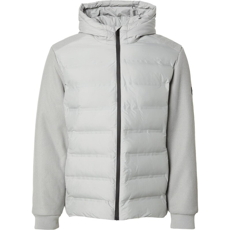 DAN FOX APPAREL Zimná bunda Carlos svetlosivá 66622333