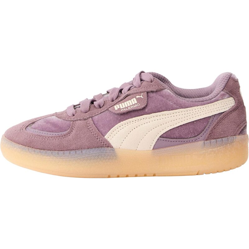 PUMA Nízke tenisky Palermo Moda Dream slivková / černicová / biela 66622802