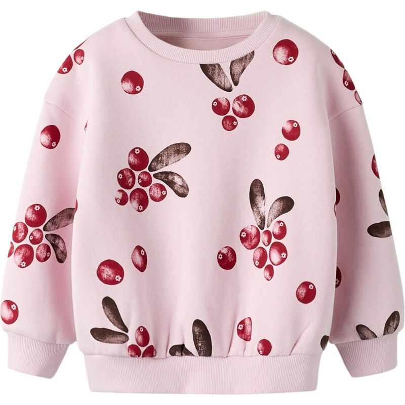 NAME IT Mikina NMFSISSY tmavohnedá / ružová / krvavo červená 66647611